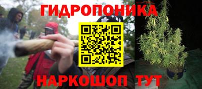 молекула духа Белореченск